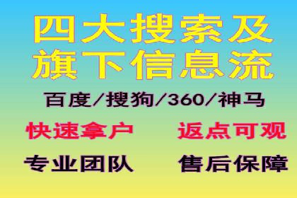 行业领先企业的SEM代理案例剖析